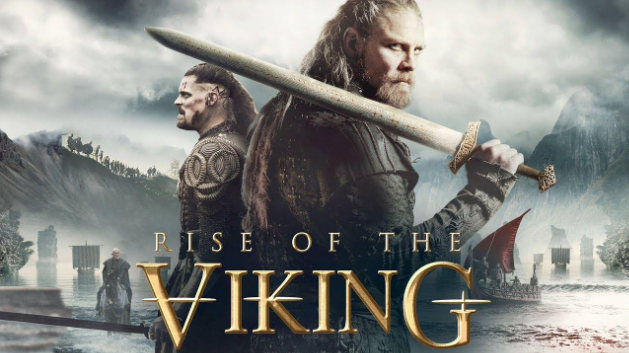 what did Vikings look like